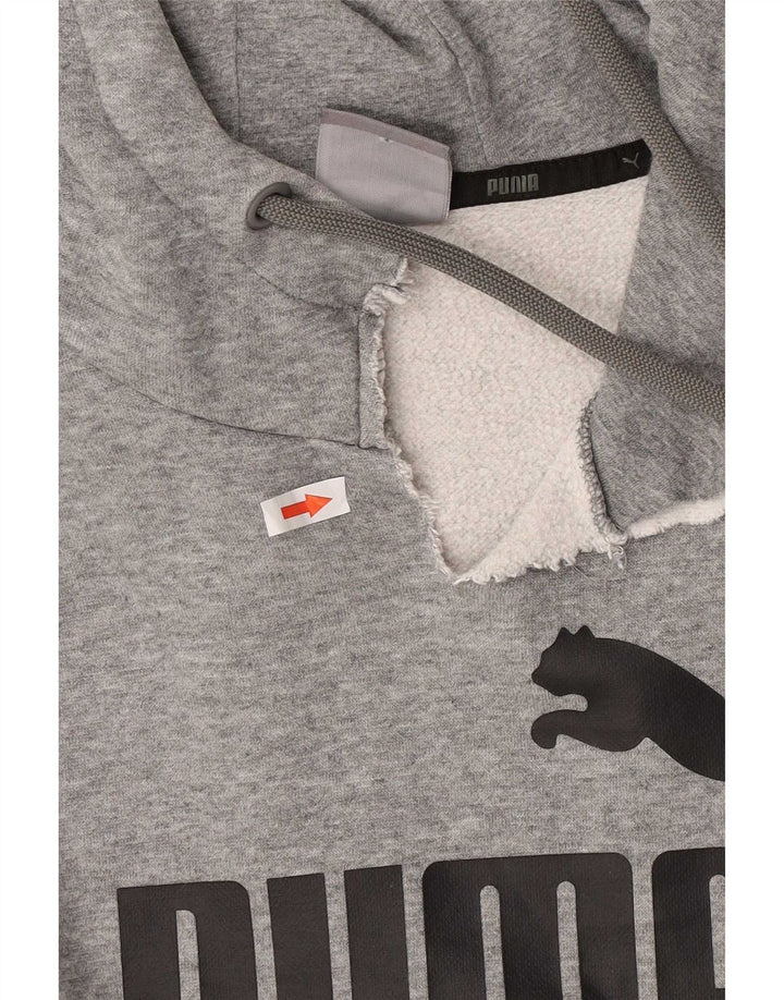 Puma Herren-Kapuzenpullover mit Grafik, mittelgrau gesprenkelte Baumwolle