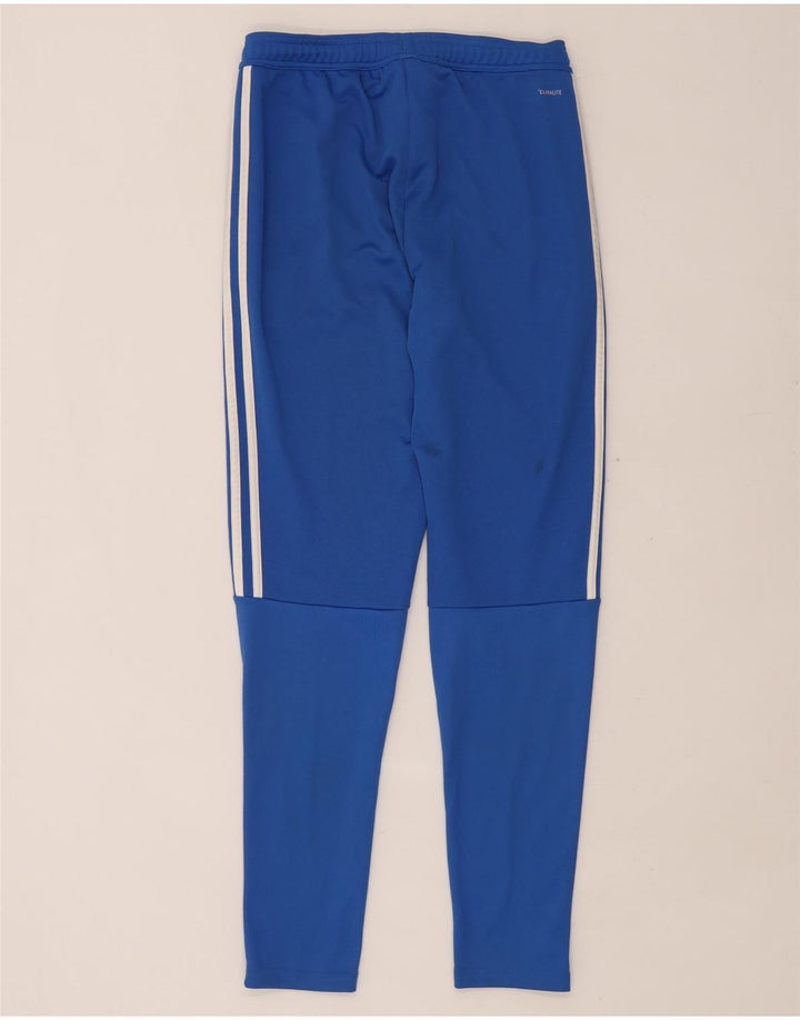 ADIDAS Damen Climalite Trainingshose UK 10 Small Blau Polyester