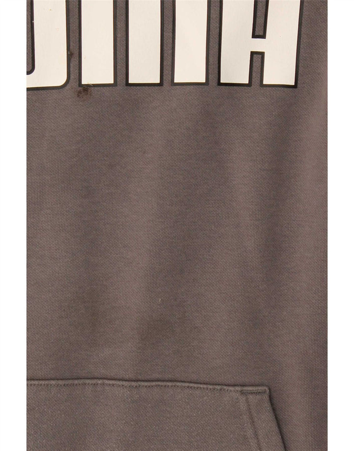 Puma Herren Graphic Hoodie Pullover mittelgraue Baumwolle