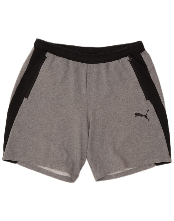 Puma Herren Sport Shorts XL Grau Farbblock
