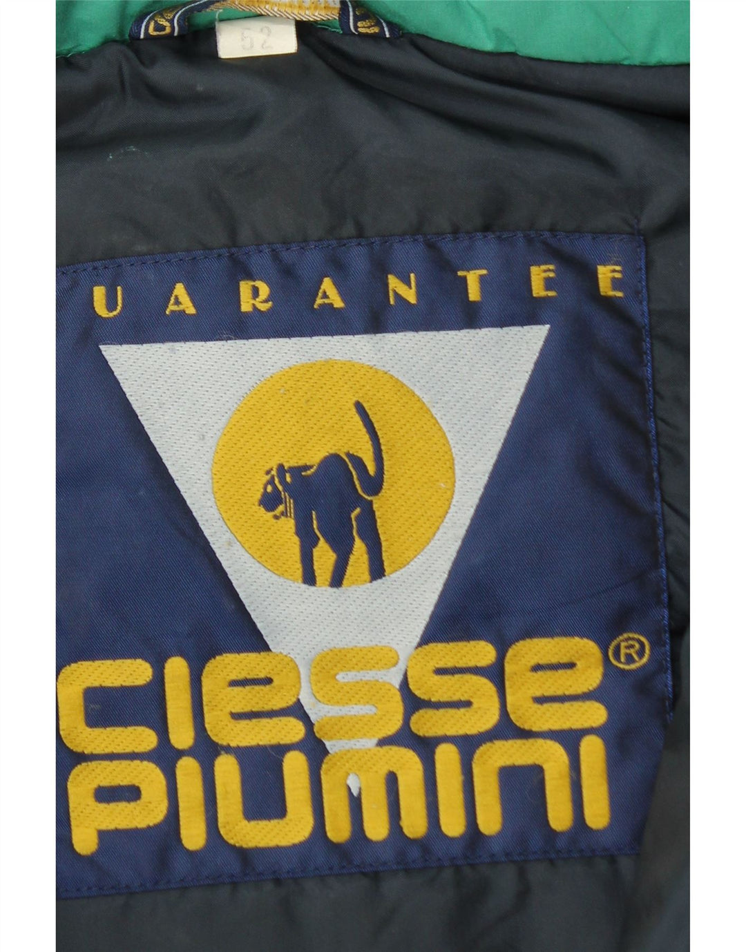 Ciesse Piumini Herren-Jacke mit Kapuze, gepolstert, Größe 52, groß, grün, Polyester, modern