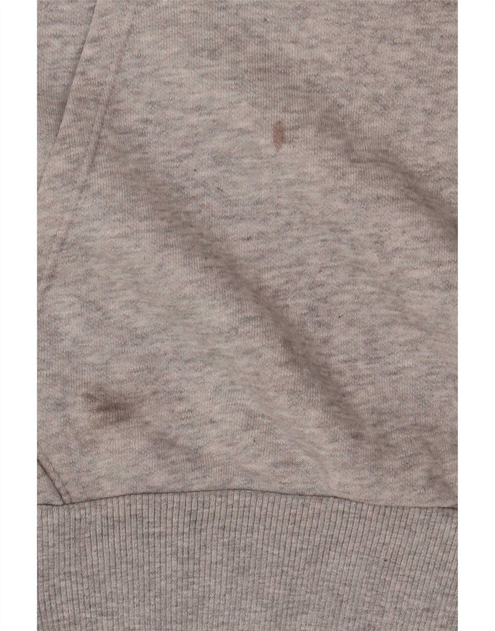 Puma Herren Graphic Hoodie Pullover Kleine graue Baumwolle