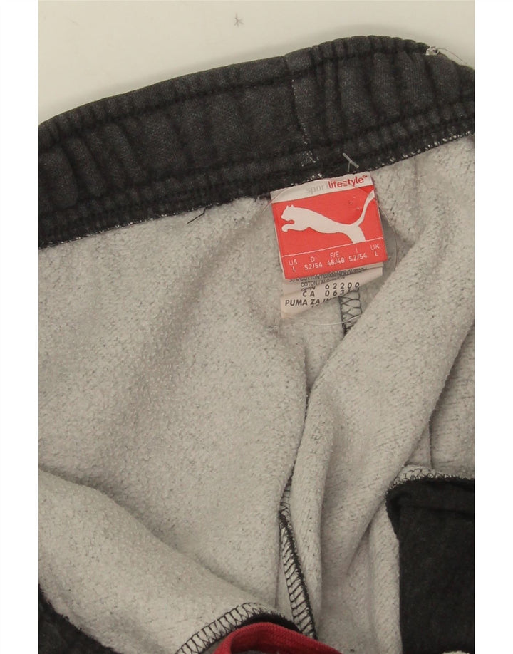 PUMA Herren-Trainingsanzug mit Grafik, Jogginghose, Größe L, Grau, Baumwolle
