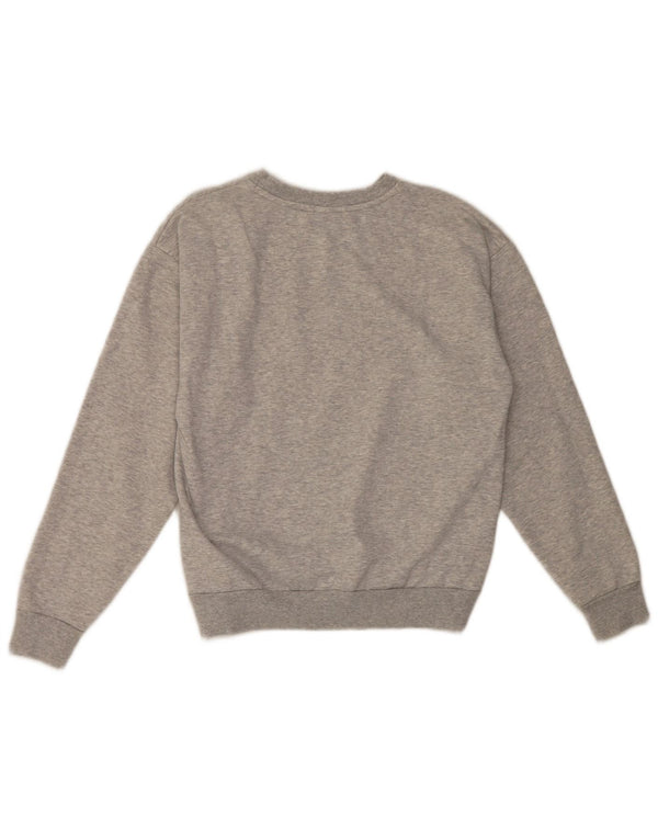 Puma Herren Grafik Sweatshirt Pullover XS Grau Baumwolle