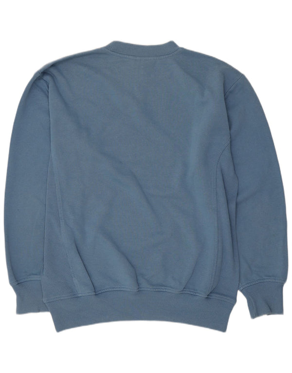 Puma Herren Graphic Loose Fit Sweatshirt Pullover Small Blau Baumwolle