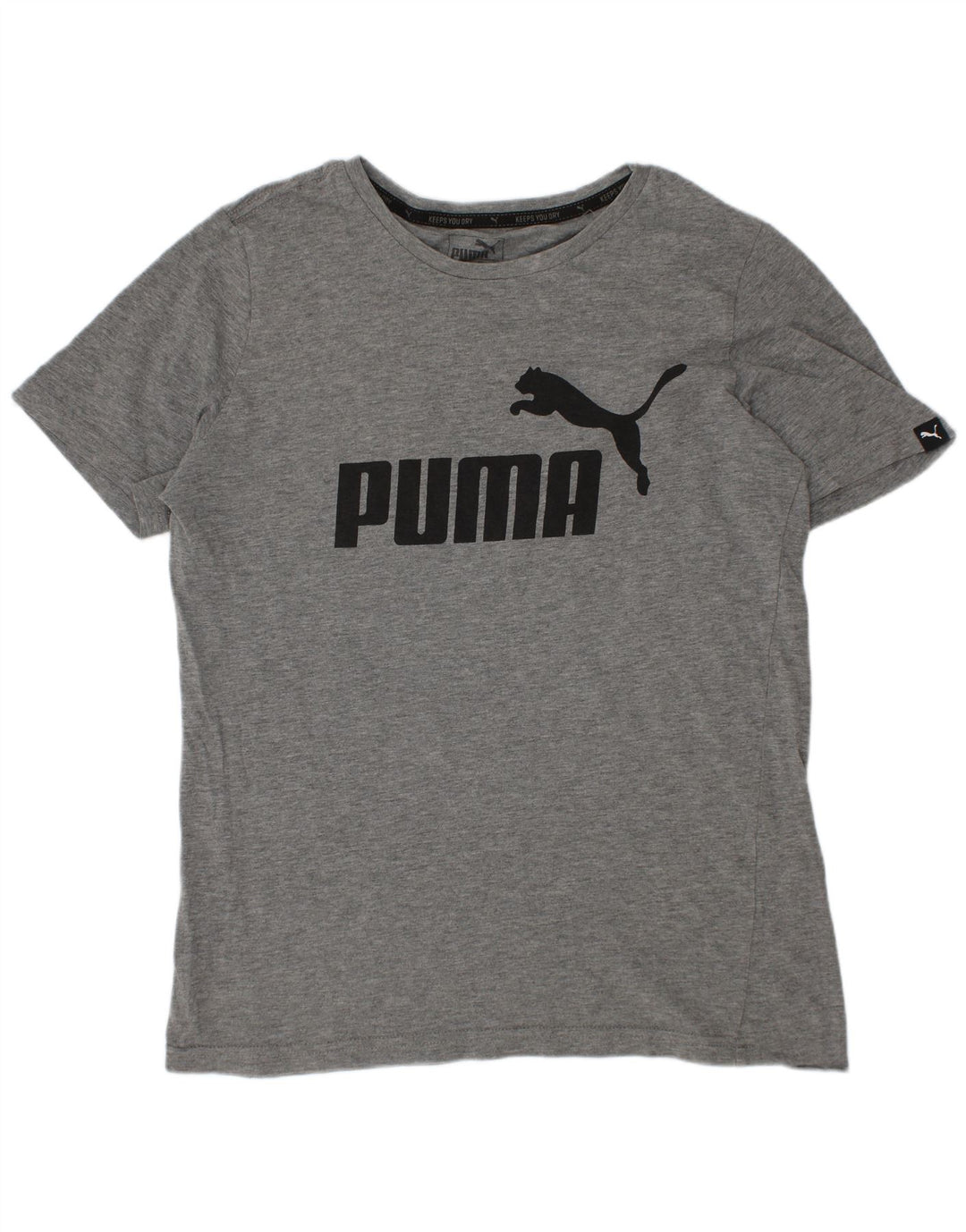 Puma Jungen Graphic T-Shirt Top 11-12 Jahre Grau