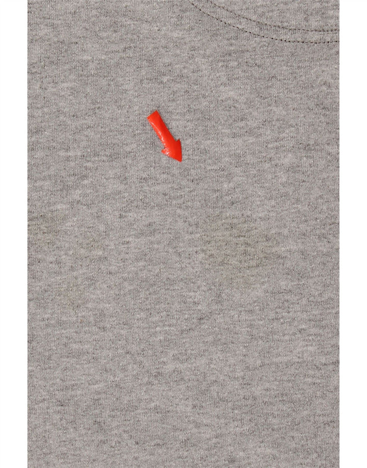 Champion Herren-Sweatshirt mit Grafik, Größe S, Grau, Baumwolle