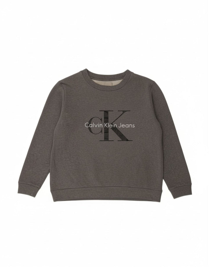 CALVIN KLEIN JEANS Mens Graphic Sweatshirt Jumper Small Grey