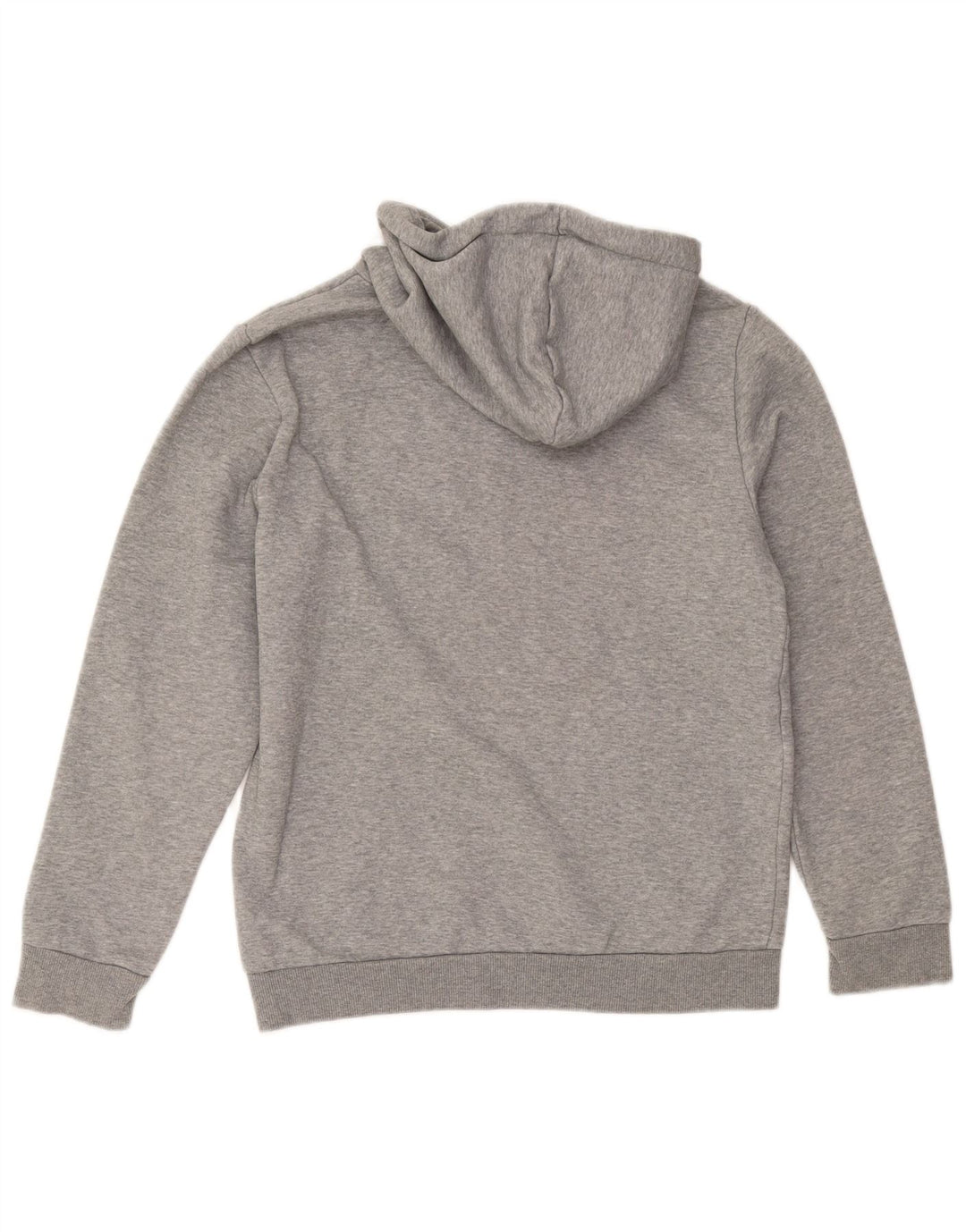 Puma Herren Graphic Hoodie Pullover Kleine graue Baumwolle