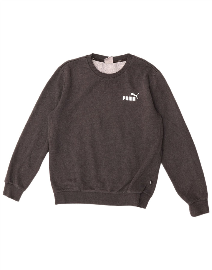 Puma Herren Sweatshirt Pullover Small Grau Baumwolle