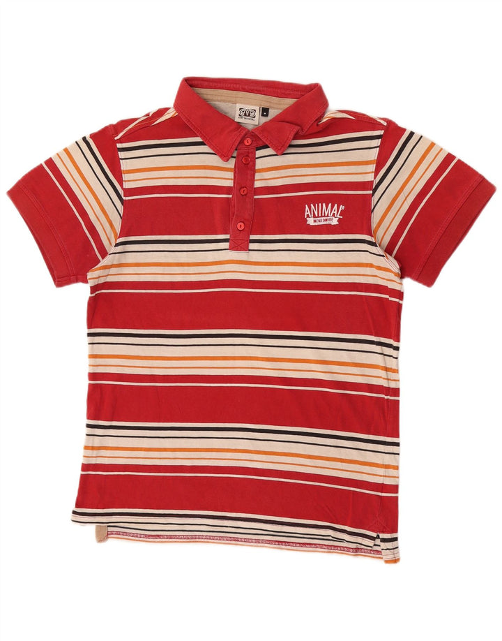 Animal Herren-Poloshirt aus mittelroter, gestreifter Baumwolle