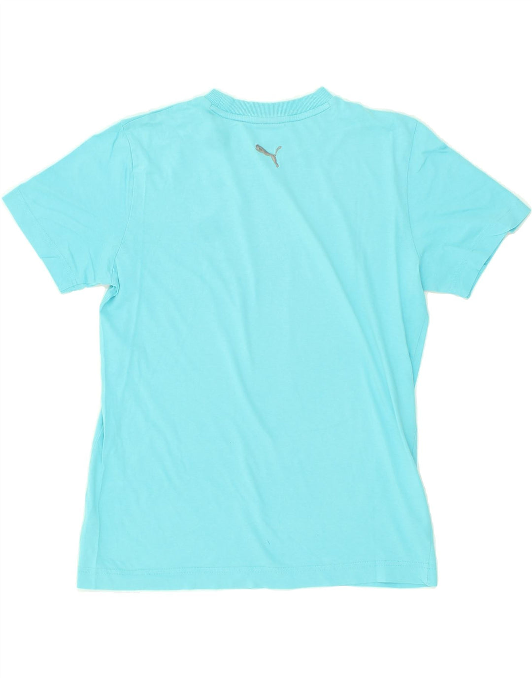PUMA Mens Graphic T-Shirt Top Small Blue Vintage Puma and Second-Hand Puma from Messina Hembry 