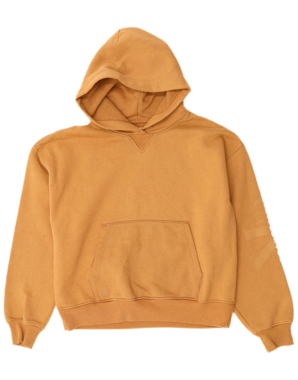CALVIN KLEIN JEANS Damen Übergroßer Kapuzenpullover UK 10 Small Beige