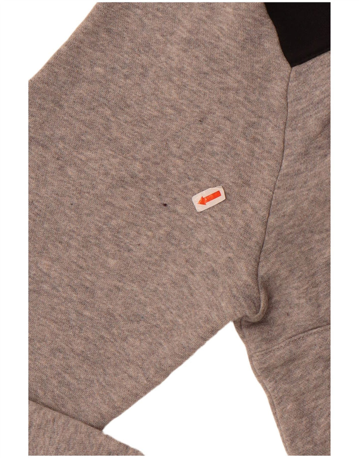 Reebok Herren Classic Graphic Sweatshirt Pullover Mittelgrau Farbblock