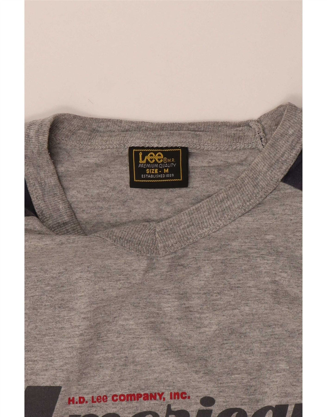Lee Herren-T-Shirt mit Grafik, Mittelgrau, Farbblock
