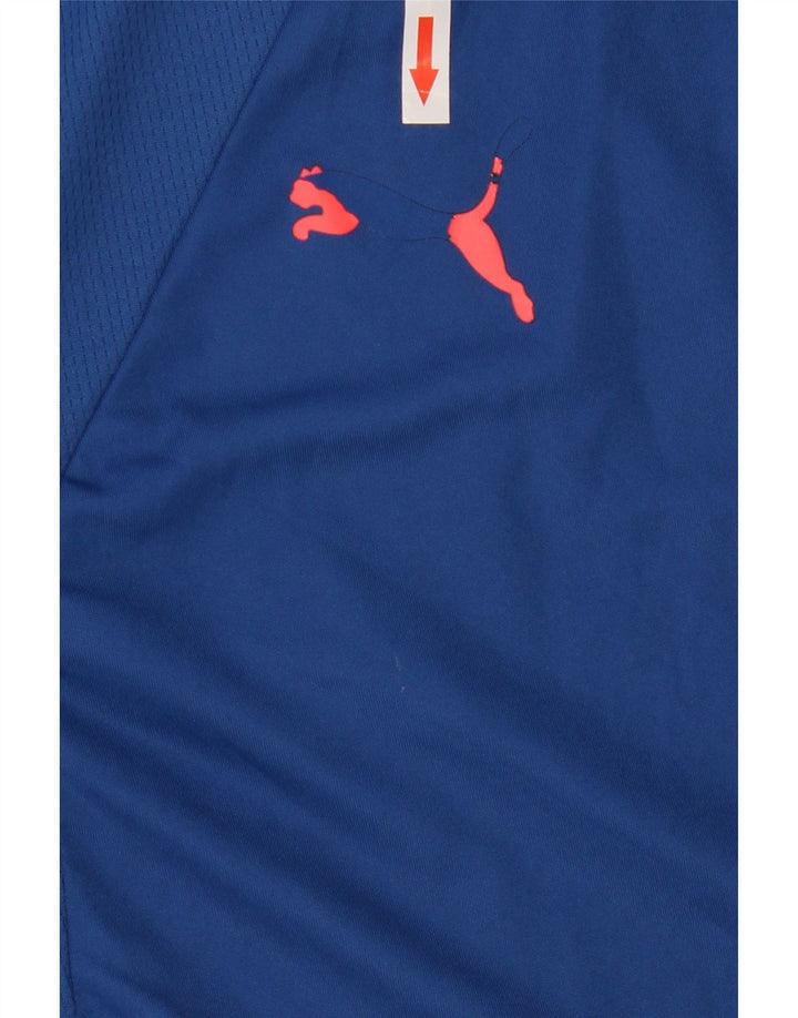 PUMA Herren T-Shirt Top Large Blau Colourblock Polyester