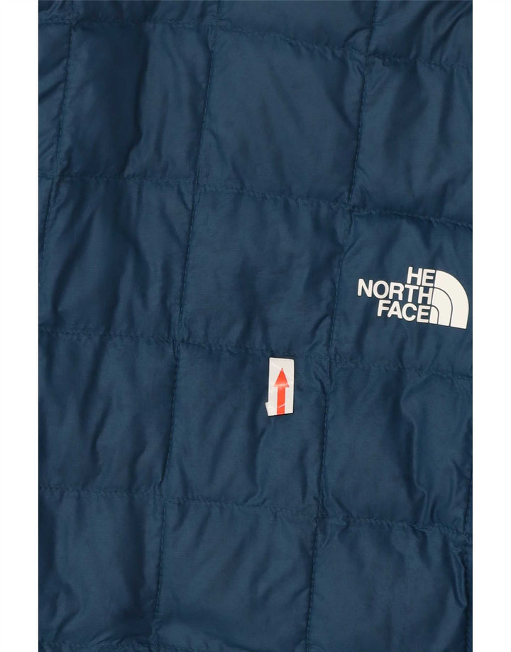 The North Face Herren Wattierte Jacke UK 36 Small Blau Polyester