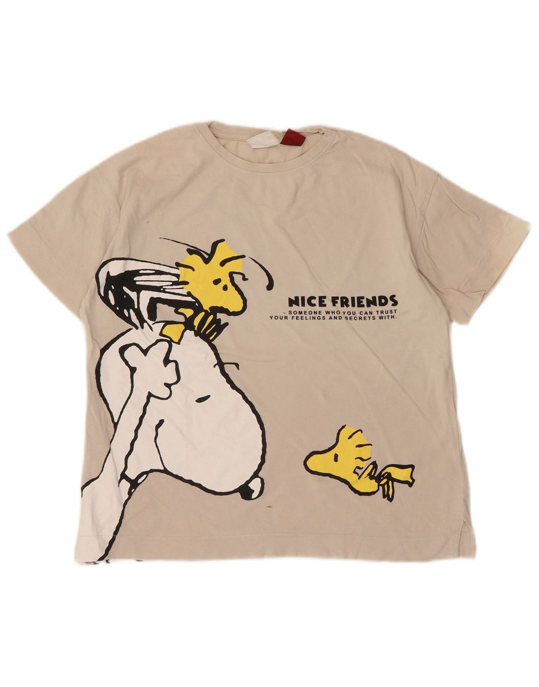 Zara Jungen T-Shirt mit Grafik, 9–10 Jahre, gebrochenes Weiß