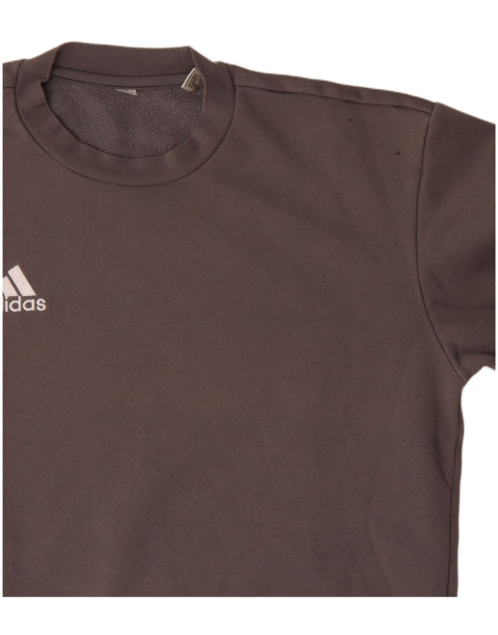 Adidas Herren Sweatshirt Pullover mittelgraue Baumwolle