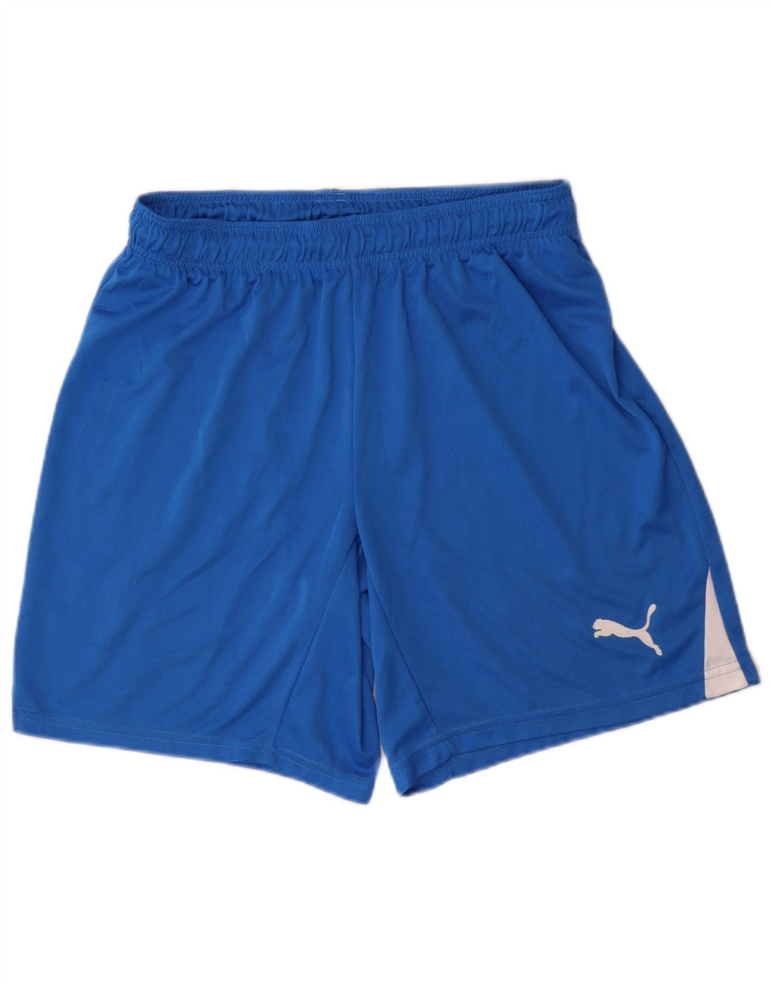 PUMA Herren Sportshorts Large Blau Polyester
