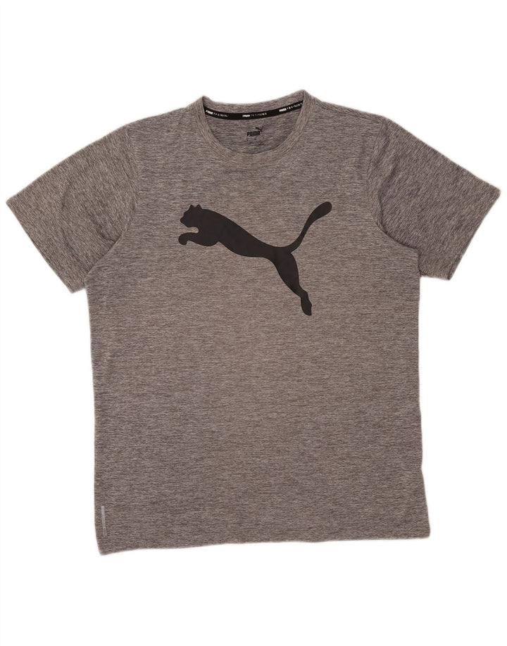 Puma Herren Grafik-T-Shirt-Oberteil Mittelgrau