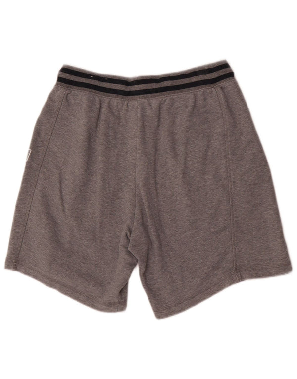 Puma Herren Graphic Sport Shorts Small Grau gestreift