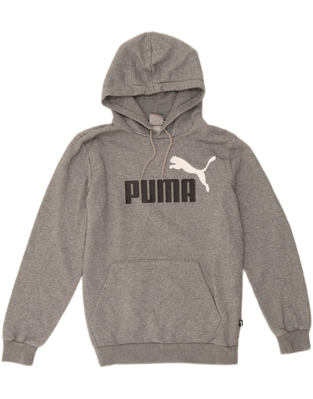 Puma Herren Graphic Hoodie Pullover Kleine graue Baumwolle