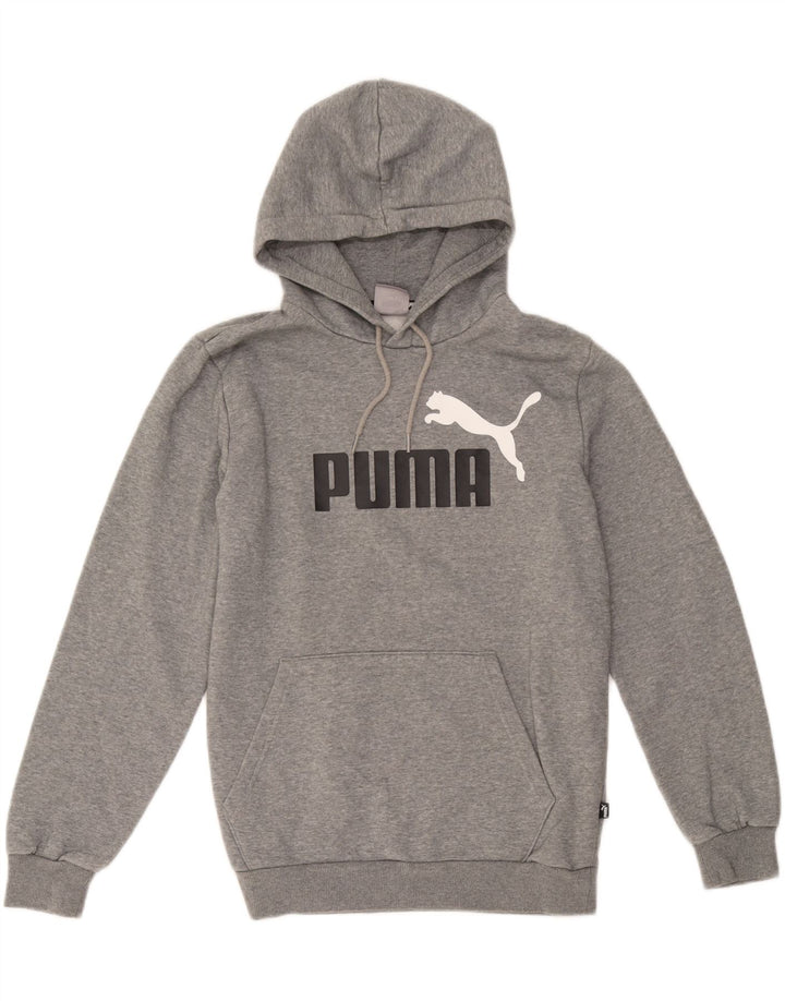Puma Herren Graphic Hoodie Pullover Kleine graue Baumwolle