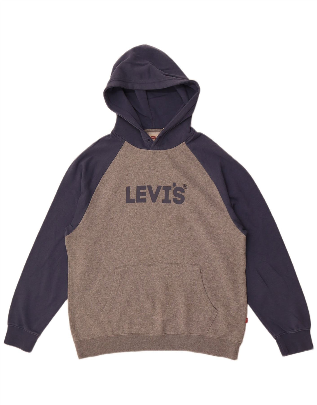 Levi's Herren-Kapuzenpullover mit grafischem Relaxed-Fit, mittelgrau, Farbblock