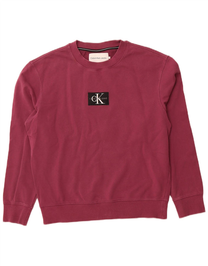 CALVIN KLEIN JEANS Herren Grafik-Sweatshirt-Pullover Mittellila