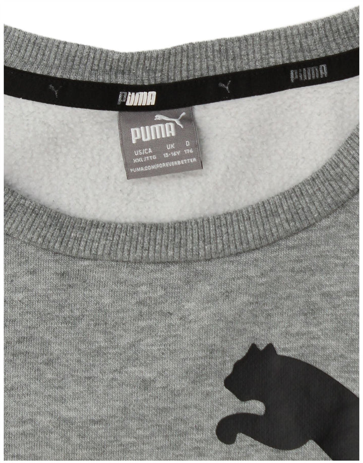 Puma Jungen Graphic Sweatshirt Pullover 15–16 Jahre grau meliert
