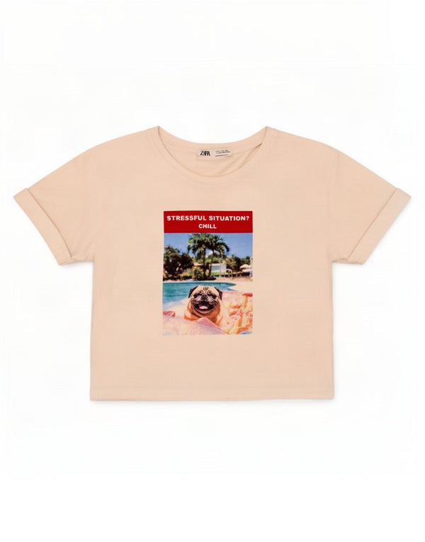 Zara Damen Crop Graphic T-Shirt Top UK 10 Small Weiß