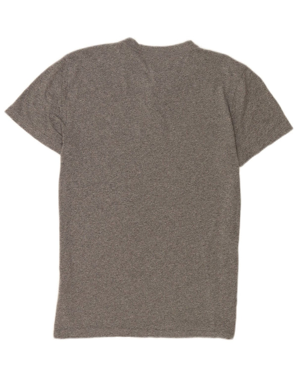Hollister Mens Graphic T-Shirt Top Small Grey Flecked Cotton