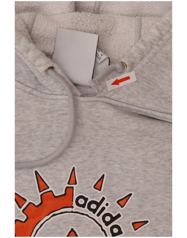 Adidas Herren Graphic Hoodie Pullover mittelgraue Baumwolle