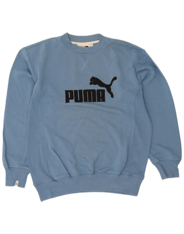 Puma Herren Graphic Loose Fit Sweatshirt Pullover Small Blau Baumwolle