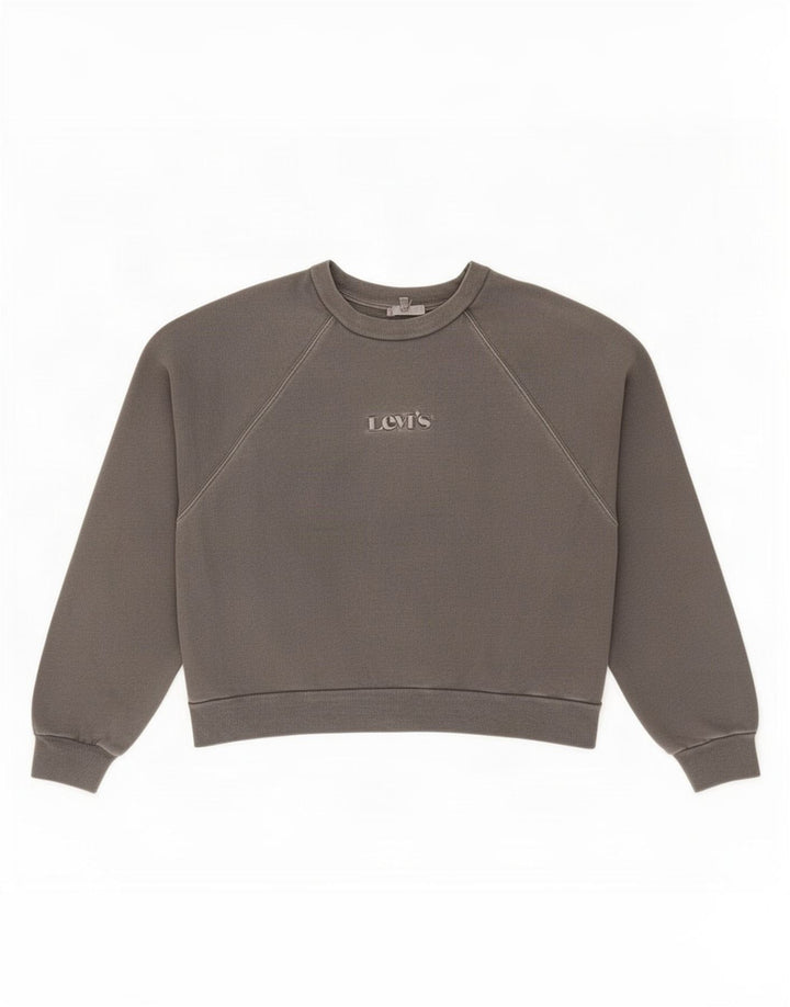 Levi's Damen Crop Graphic Oversized Sweatshirt Pullover UK 14 Mittelgrau