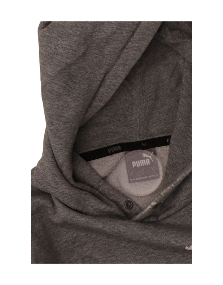 Puma Herren Graphic Hoodie Pullover Large Grau