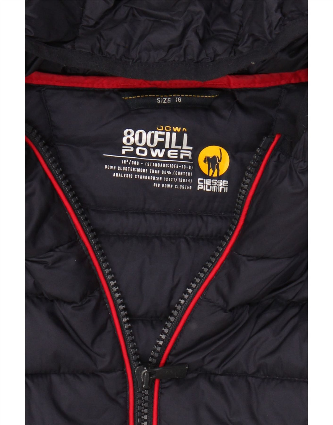 CIESSE PIUMINI Wattierte Jacke für Jungen, 15–16 Jahre, mehrfarbig, Farbblock