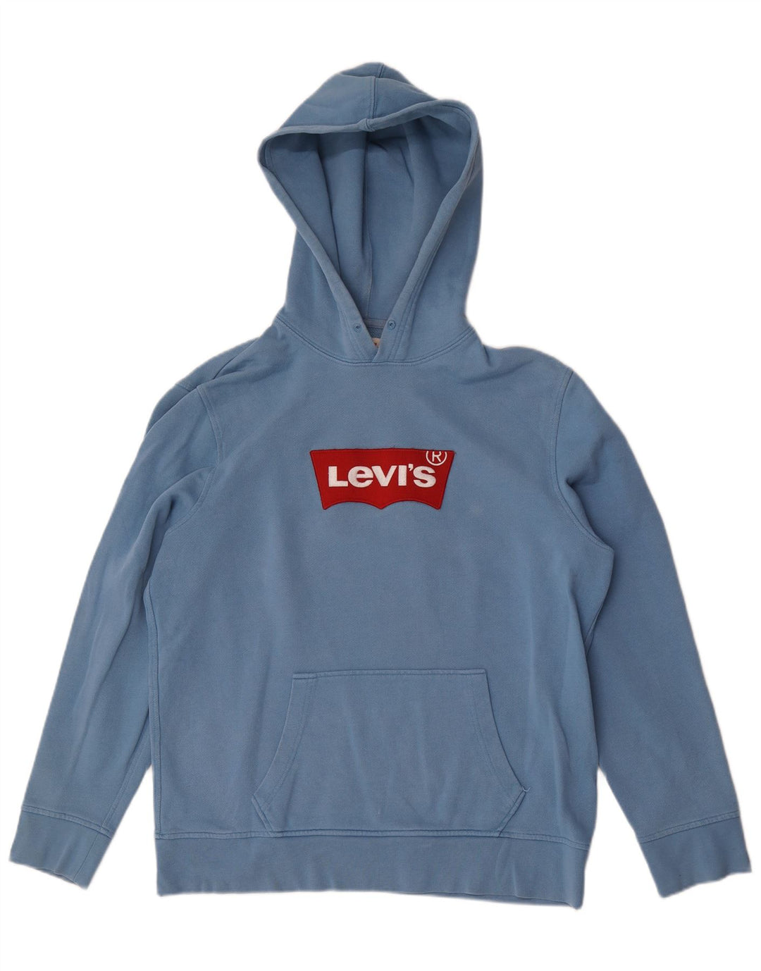 Levi's Herren-Pullover mit grafischem Kapuzenpullover, groß, aus blauer Baumwolle