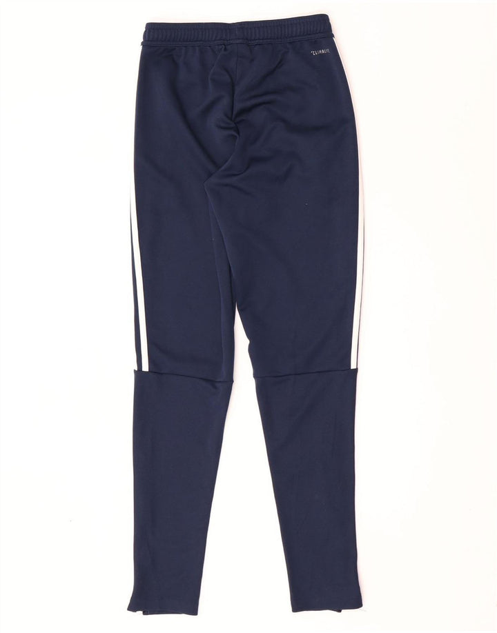 Adidas Herren Climalite Trainingshose XS Marineblau Polyester