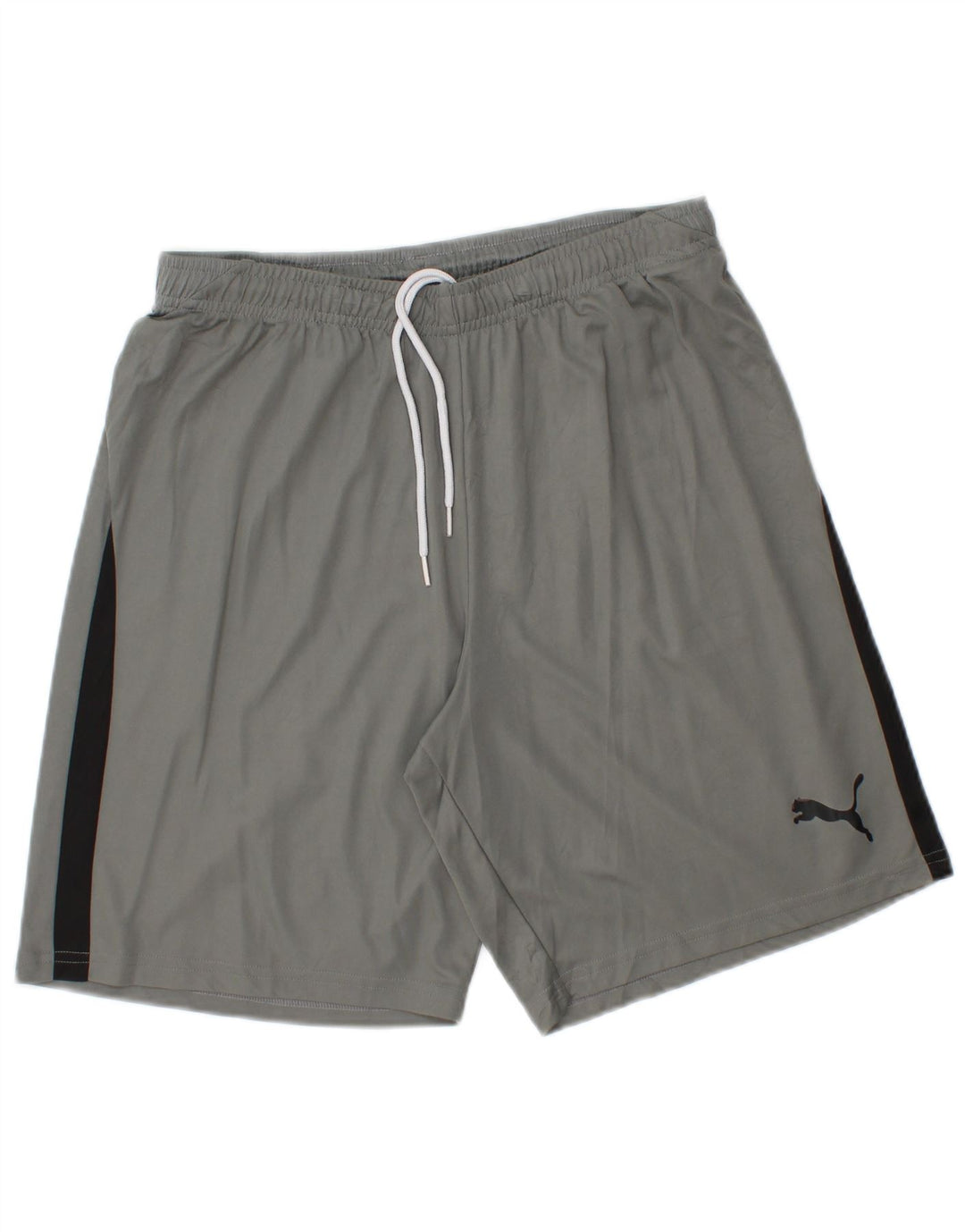 PUMA Herren Sportshorts Mittelgrau Farbblock