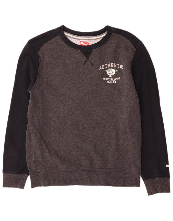 Puma Herren Grafik-Sweatshirt-Pullover, klein, graue Farbblock-Baumwolle