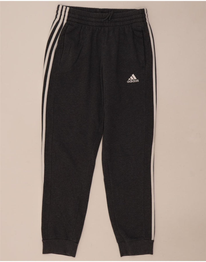 Adidas Herren Trainingshose Jogger mittelgraue Baumwolle