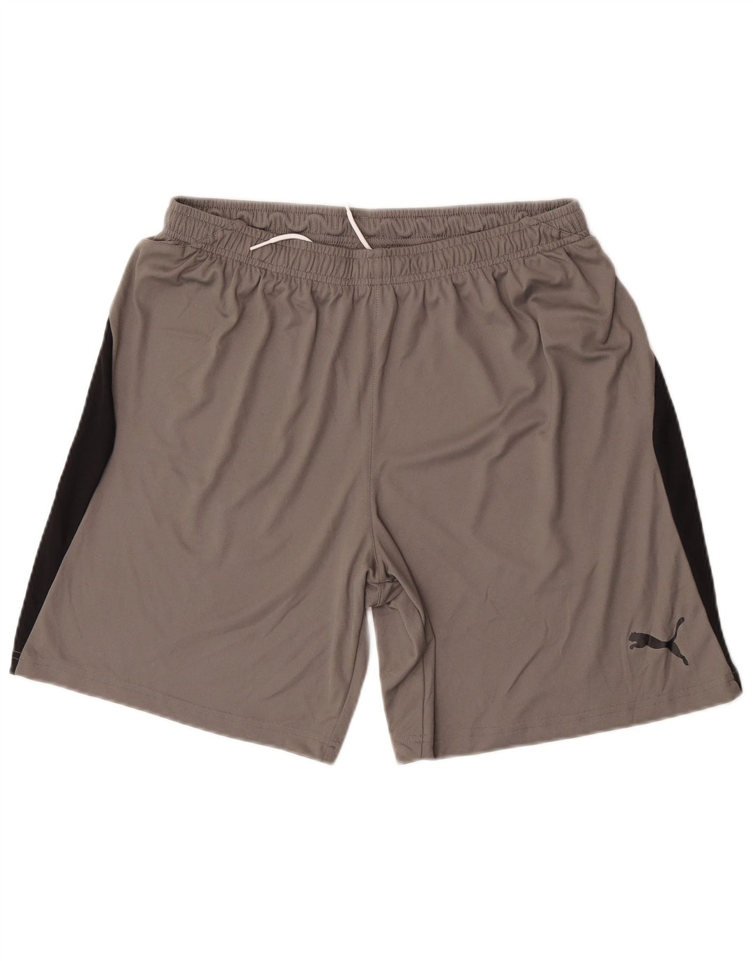 Puma Herren-Sportshorts, groß, graues Colourblock-Polyester