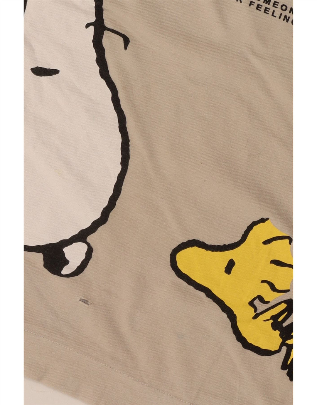 Zara Jungen T-Shirt mit Grafik, 9–10 Jahre, gebrochenes Weiß