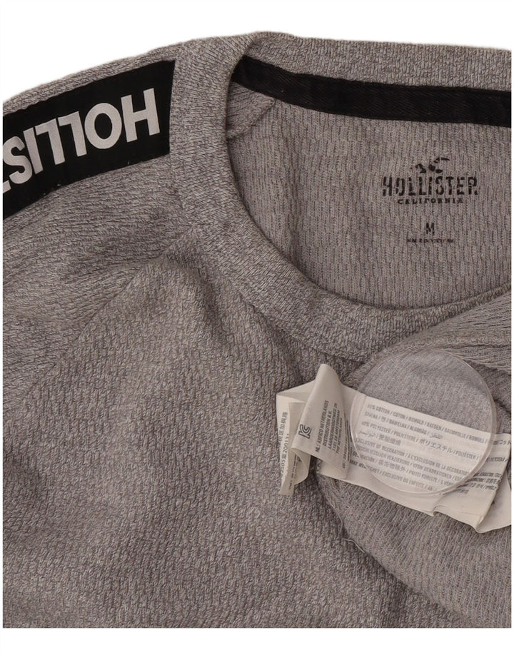Hollister Herren-Grafikoberteil mit langen Ärmeln aus mittelgrauer Baumwolle