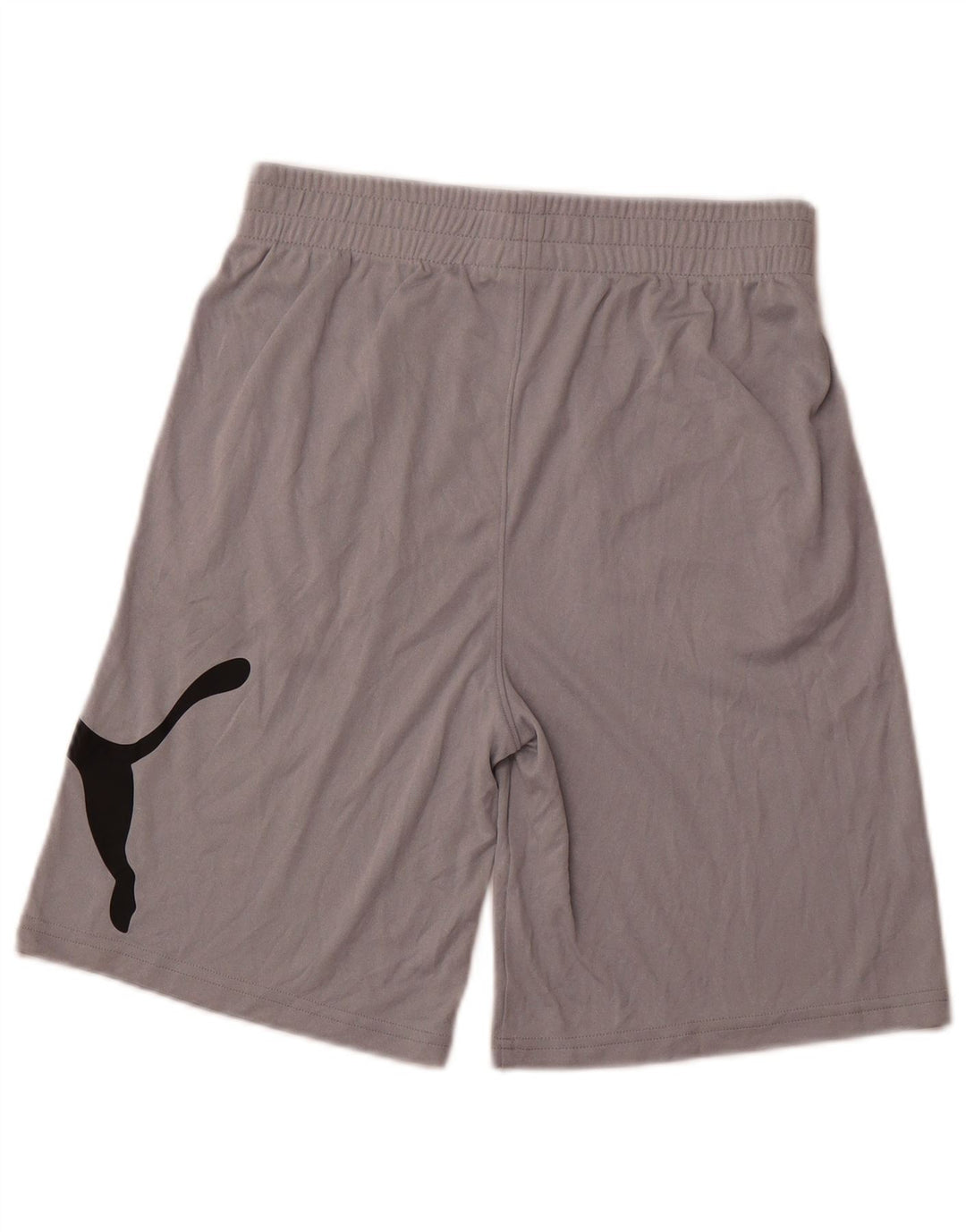 PUMA Jungen Graphic Sport Shorts 13-14 Jahre XL Grau