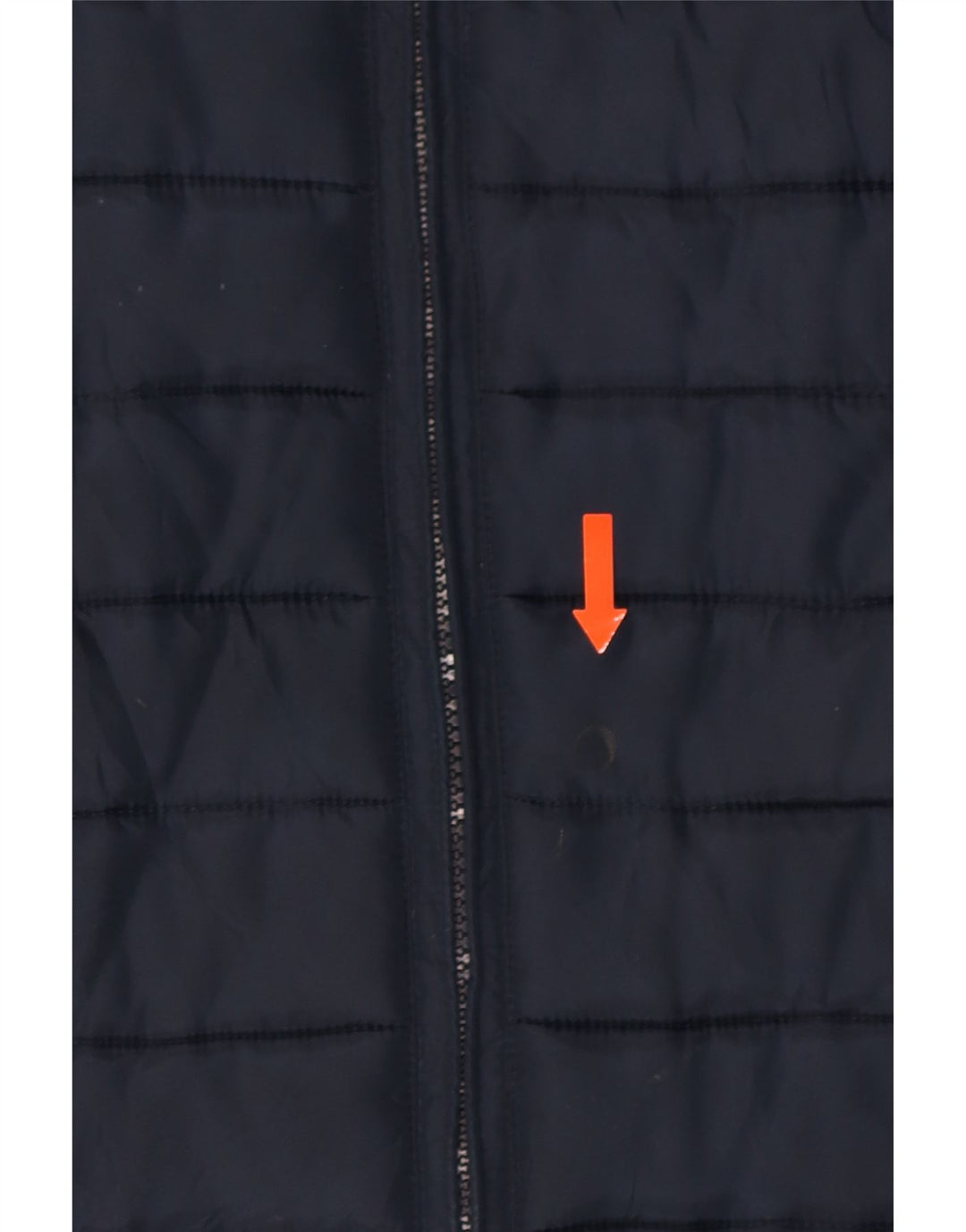 CHAMPION Womens Heritage Fit Hooded Padded Jacket IT 44 Medium Navy Blue Vintage Champion and Second-Hand Champion from Messina Hembry 