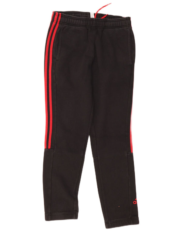 ADIDAS Herren-Trainingshose, Jogginghose, Größe S, Grau, Baumwolle