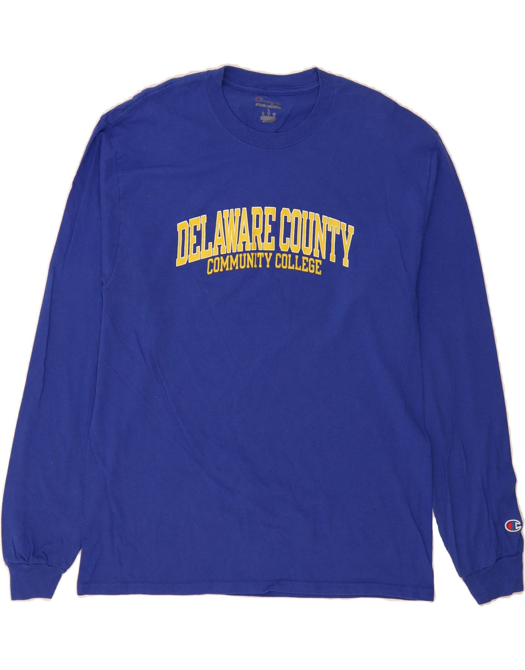 CHAMPION Mens Delaware Graphic Top Long Sleeve Large Blue Vintage Champion and Second-Hand Champion from Messina Hembry 